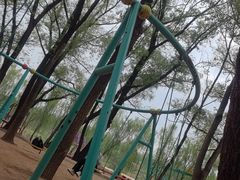 -东方巨龟苑景区