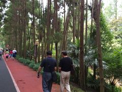 -上海长兴岛郊野公园