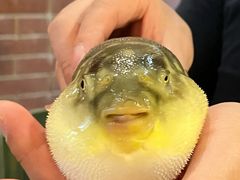 -永安鱼庄·镇江菜(丁卯店)