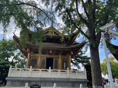 -上海东林寺(金山区)