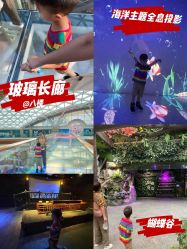 -欢乐舟·舟舟玩乐园
