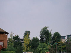 -枫香湖儿童公园