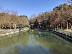 -宜兴龙背山森林公园