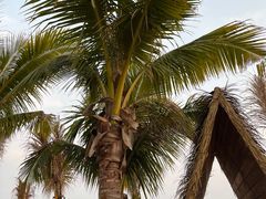 -玫瑰海岸文化旅游度假区