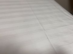 -蓝凯宾馆(和平西桥地铁站店)