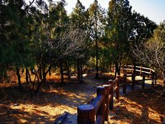 -北京十三陵国家森林公园蟒山景区
