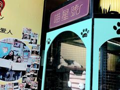 -猫咪博物馆(顶澳仔猫街店)