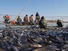 -南京金牛湖风景区