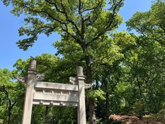 -灵谷景区