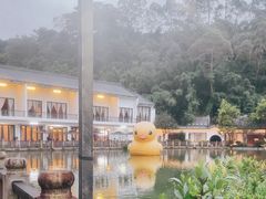 -谷丰健康凤贤居酒家