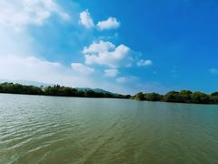 -长兴太湖图影湿地文化园
