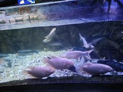 -左海海底世界