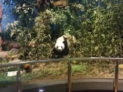 -陕西科学技术馆