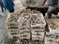 -中国舟山国际水产城