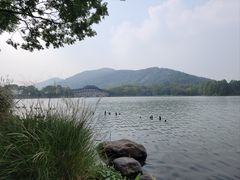 -长广溪湿地公园