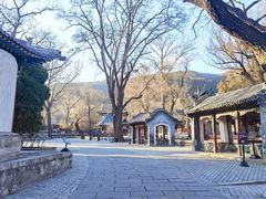 -晋祠公园