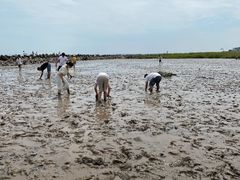 -南汇嘴观海公园