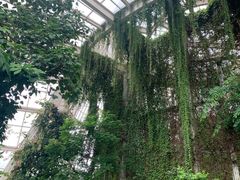 -昆明植物园