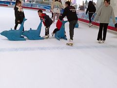 -TheRink大零溜冰场(IFS国金中心店)