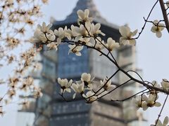 -南京晨光1865创意产业园