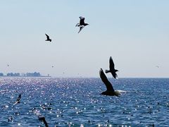 -滇池海埂公园