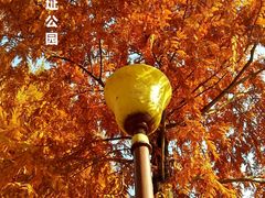 -西安曲江寒窑遗址公园