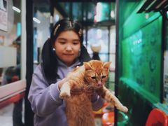 -猫咪博物馆(顶澳仔猫街店)