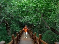 -大岭沟猕猴桃谷风景区