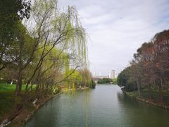 -尚贤河湿地