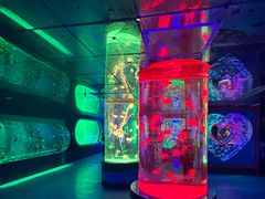 -左海海底世界