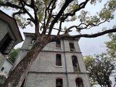 -江心屿景区