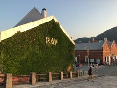-金森红砖仓库