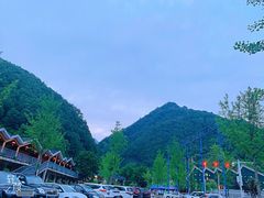-牛背梁国家森林公园