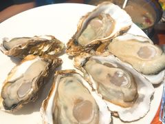 -千岛蚝高压锅生蚝·人参火锅(白云万达店)