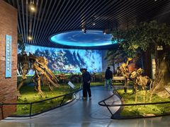 -安徽省地质博物馆