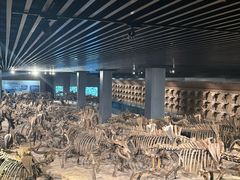 -大庆市博物馆