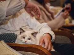 -咖法森林·咖啡  酒吧(天河店)