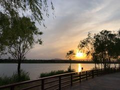 -绿堤公园