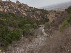 -北京凤凰岭