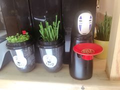 -白日梦奶茶