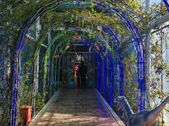 -沈阳植物园