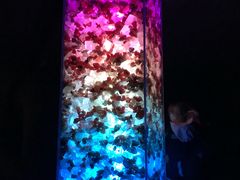 -贝希特斯加登盐矿
