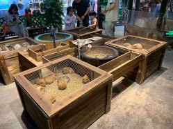 -酷嗒动物文化乐园(cutezoo西溪乐天城店)