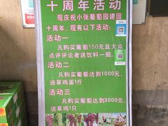 -马陆小张葡萄园农家乐