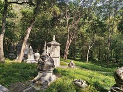 -北京上方山国家森林公园