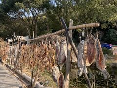 -旺山·浪头人家