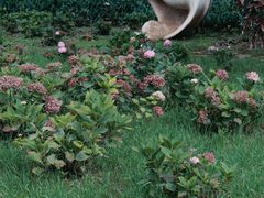 -昆明市金殿名胜区