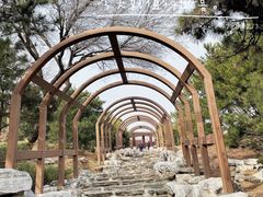 -北宫国家森林公园