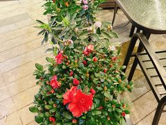 -黄鱼炙夜·烧烤·小龙虾(世茂缤谷店)