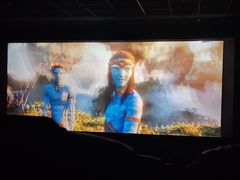 -CMC大光明影城(莲花店)